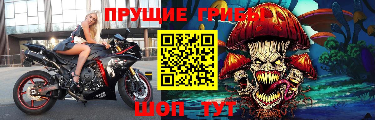 Галлюциногенные грибы Psilocybe  Вход с VPN  Пятигорск 